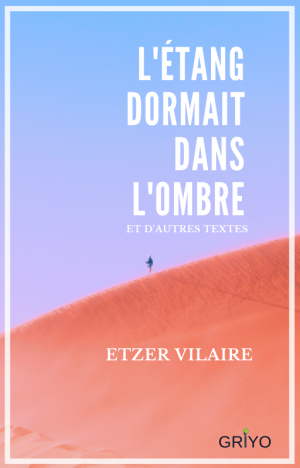 L'étang dormait dans l'ombre....